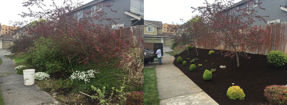 Jim's Clean-Up