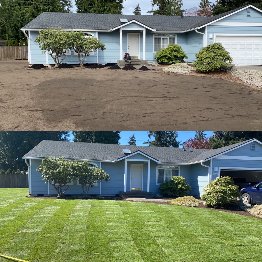 Jim's Clean-Up