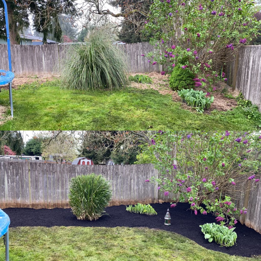 Jim's Clean-Up
