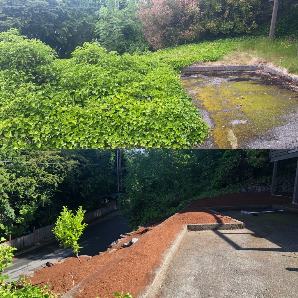 Jim's Clean-Up