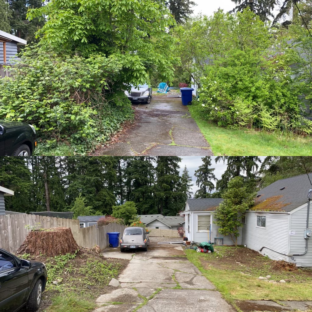 Jim's Clean-Up
