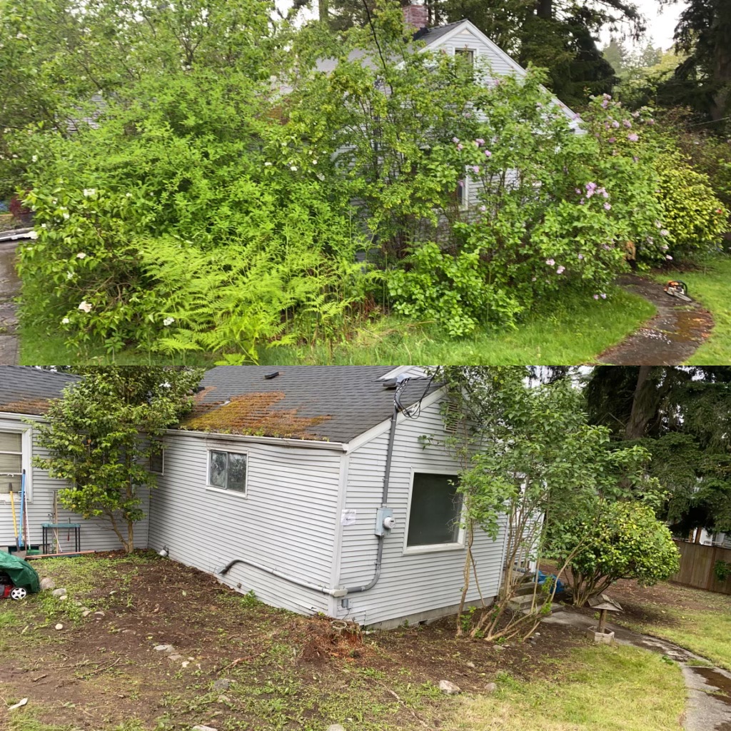 Jim's Clean-Up